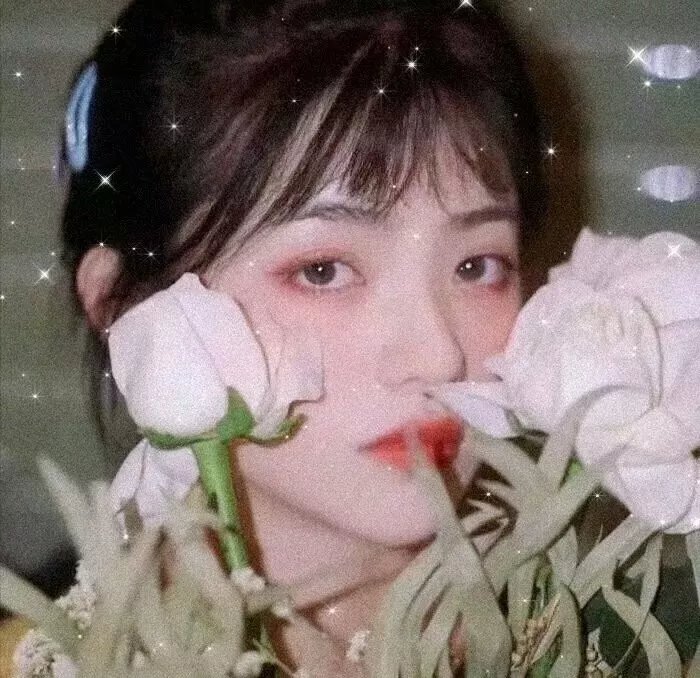 铳梦:战斗天使